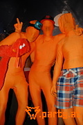 Bild 203