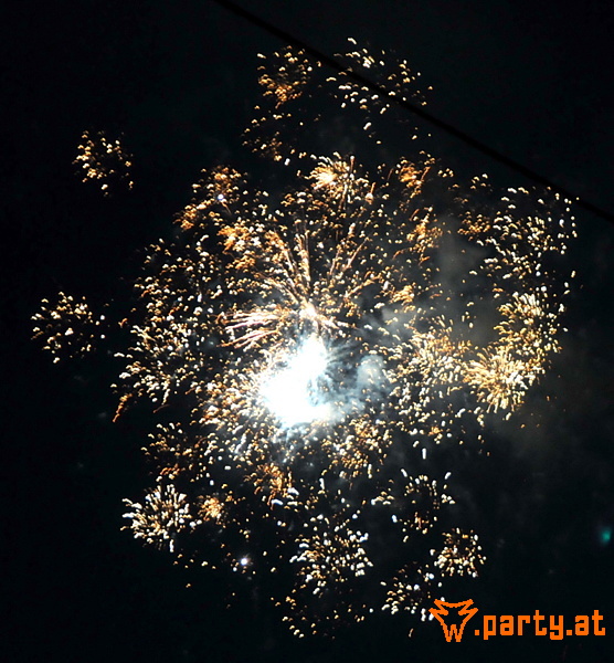 Bild 171
