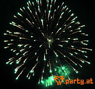 Bild 181