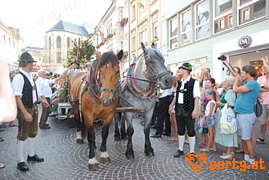 Bild 132