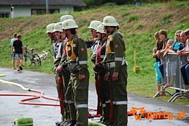 Bild 245