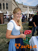 Bild 198