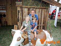Bild 199
