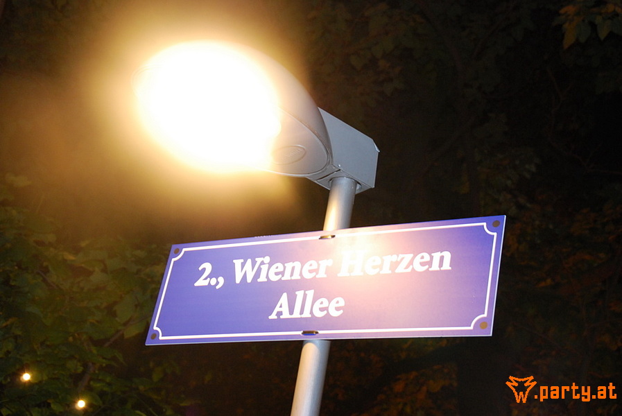 Bild 39