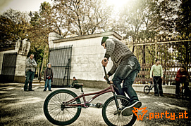 Bild 42