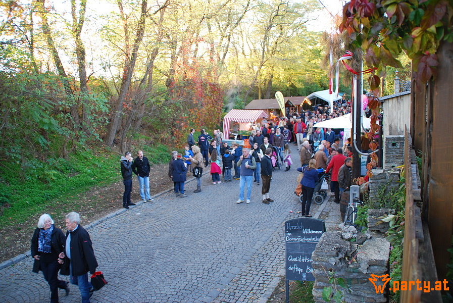 Bild 12