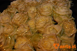 Bild 20