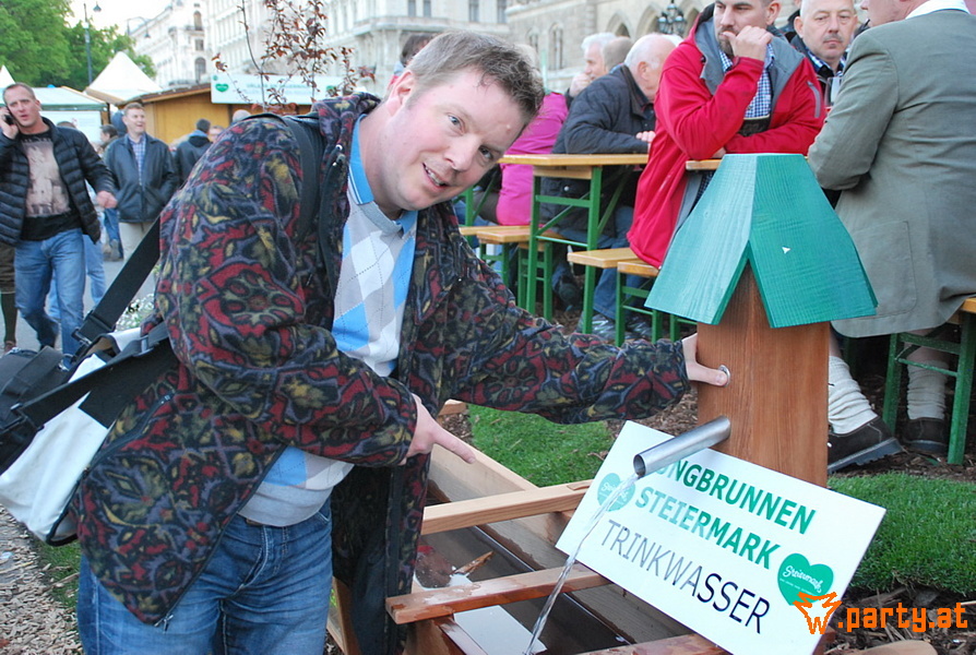 Bild 7 - Steirerdorf, Rathaus Platz Wien Bild 7