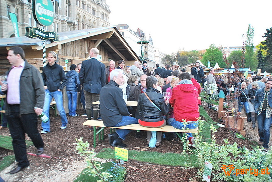 Bild 8 - Steirerdorf, Rathaus Platz Wien Bild 8