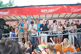 Bild 97