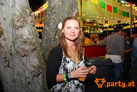 Bild 208