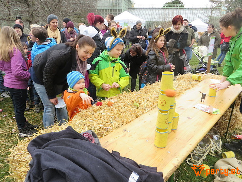 Bild 46