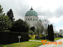 Bild 81