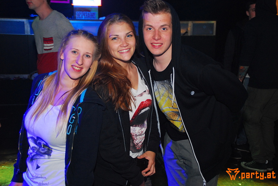 Bild 245