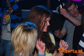 Bild 244