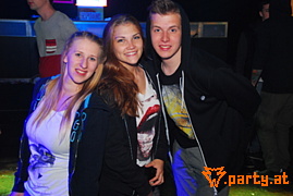 Bild 245