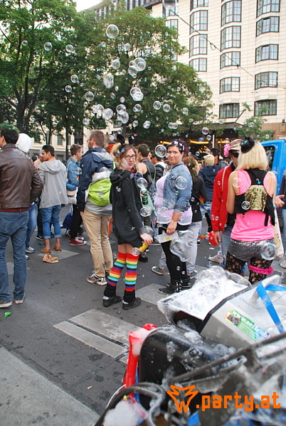 Bild 310