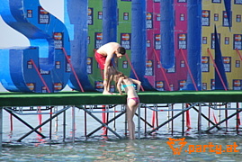 Bild 234