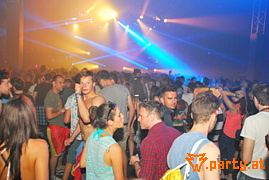 Bild 194