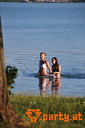 Bild 222