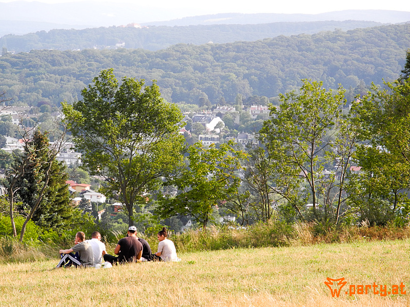 Bild 65