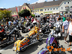 Bild 229