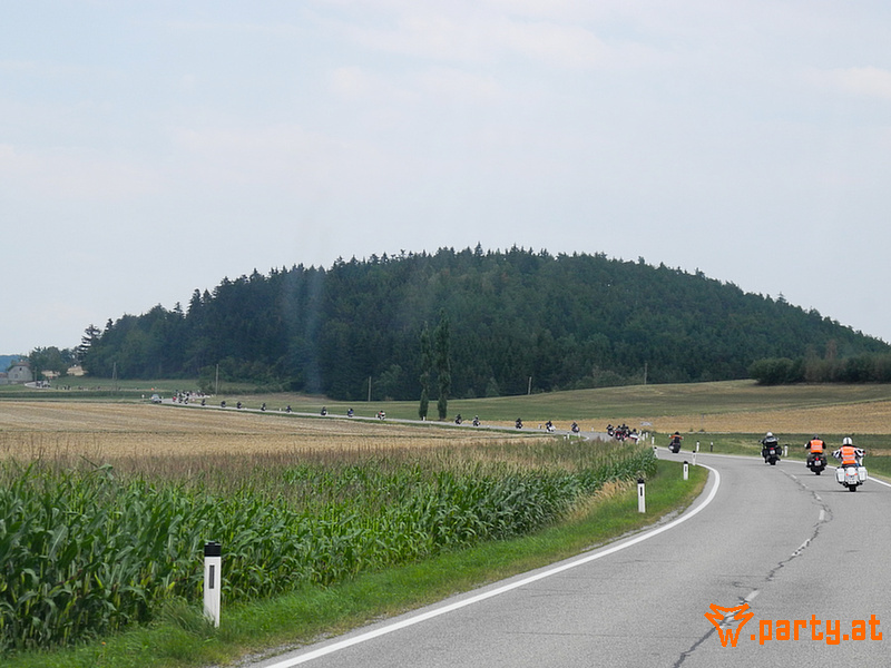 Bild 167