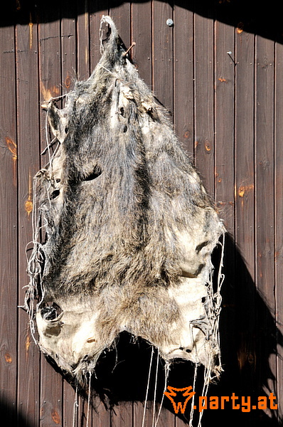 Bild 58