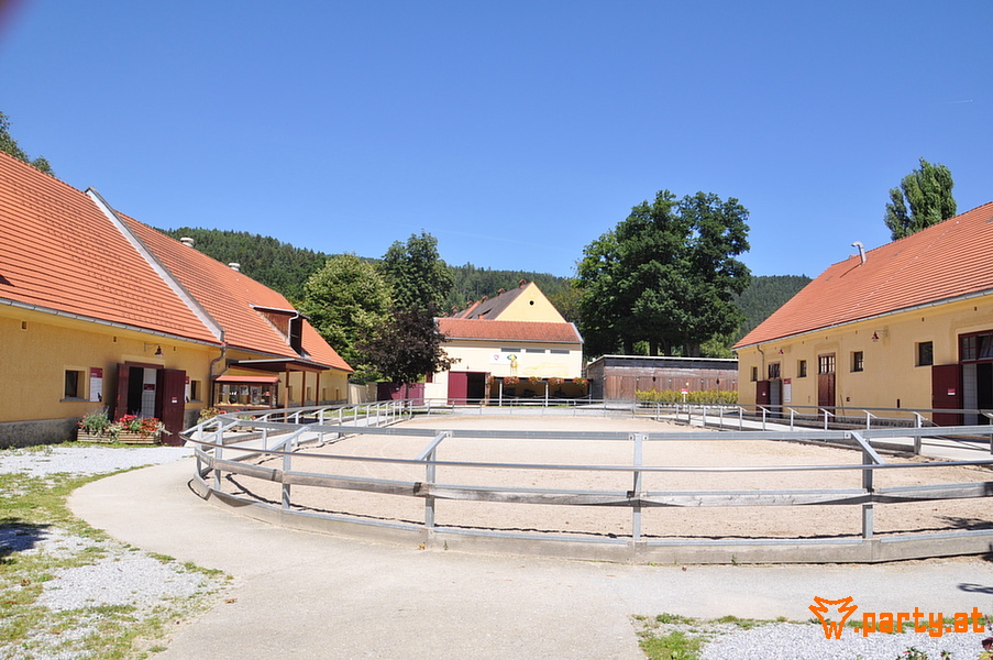 Bild 42