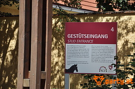 Bild 38
