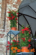 Bild 46