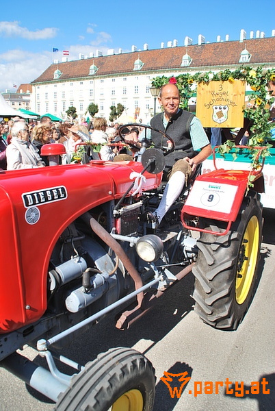Bild 98