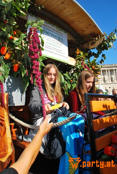 Bild 232