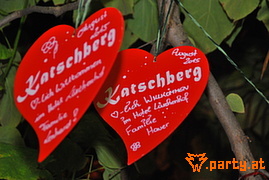 Bild 46