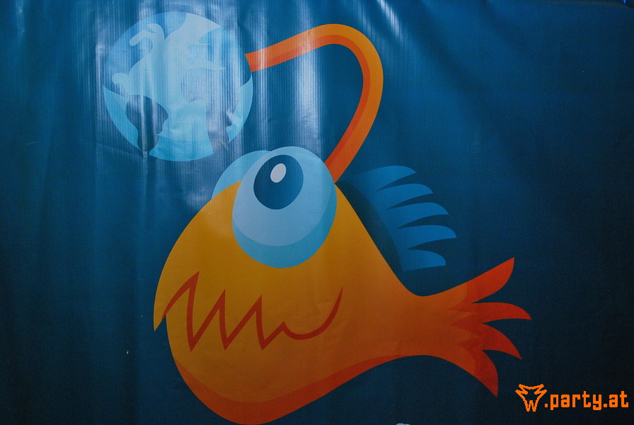 Bild 81