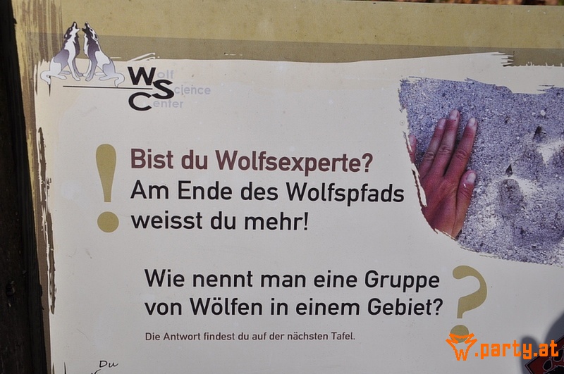 Bild 26
