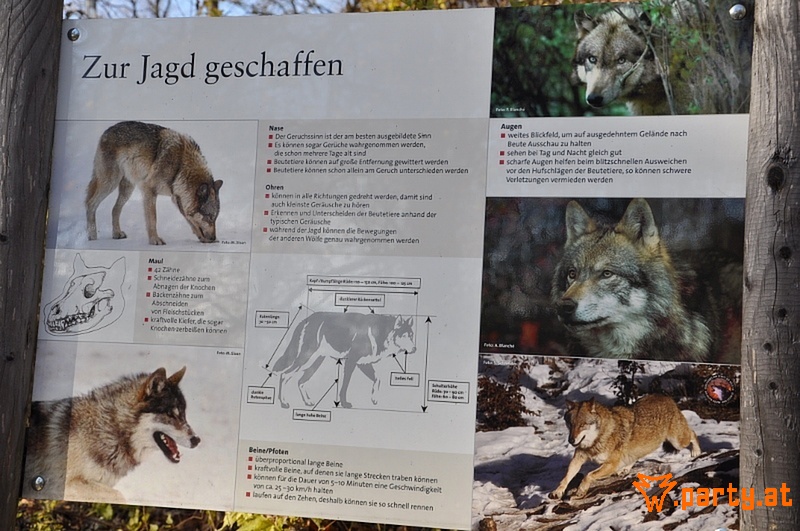 Bild 28