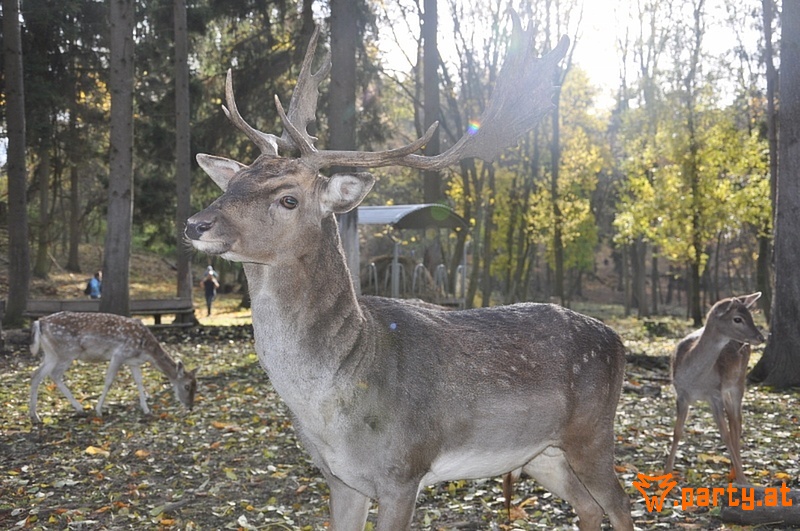 Bild 57