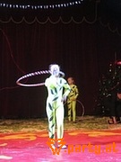 Bild 19