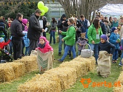 Bild 49