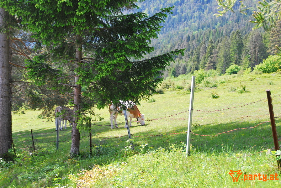 Bild 58 - Das Dorf 2016, Förolach im Gailtal Bild 58