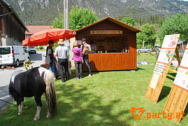 Bild 35