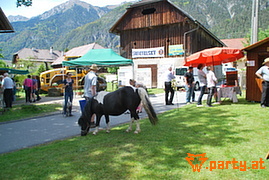 Bild 36