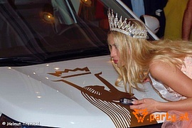 Bild 510