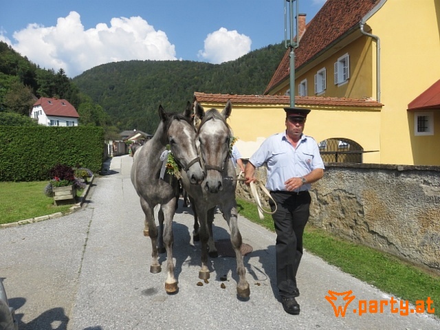 Bild 49