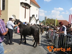 Bild 54