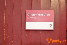 Bild 68