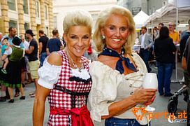 Bild 42