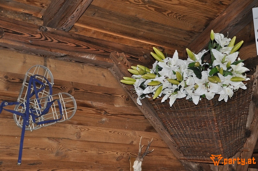 Bild 44
