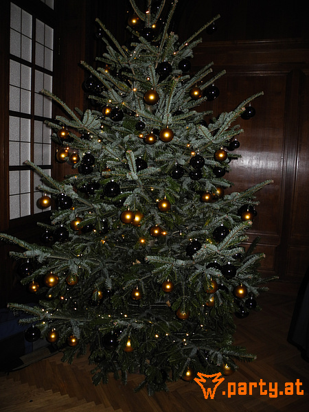 Bild 13